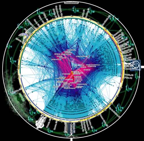 That's her, the massive slavery obedience machine.